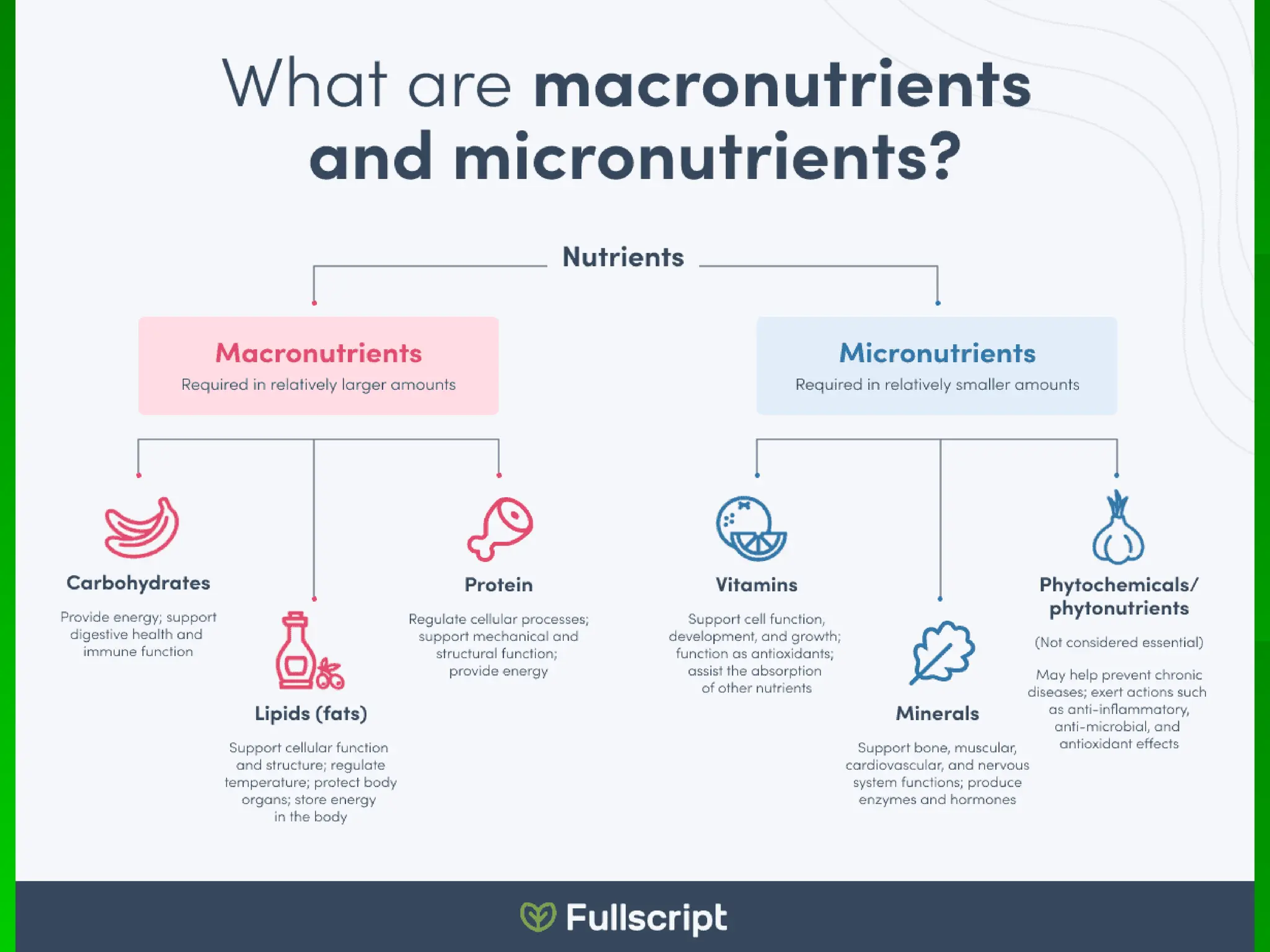 Nutrient Classification
 
