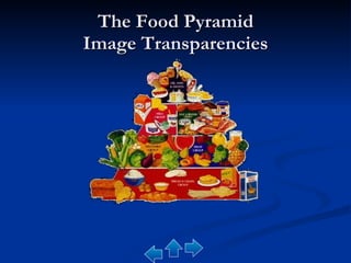 The Food Pyramid Image Transparencies 