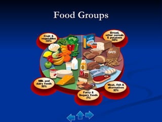 Food Groups 