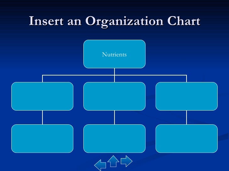 Blank Organizational Chart Blank Organizational Chart Pdf Sample