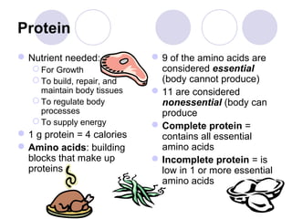 Protein
Nutrient needed:
 For Growth
 To build, repair, and
maintain body tissues
 To regulate body
processes
 To supply energy
1 g protein = 4 calories
Amino acids: building
blocks that make up
proteins
9 of the amino acids are
considered essential
(body cannot produce)
11 are considered
nonessential (body can
produce
Complete protein =
contains all essential
amino acids
Incomplete protein = is
low in 1 or more essential
amino acids
 