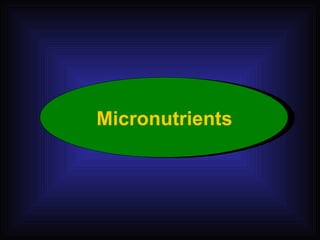 Micronutrients 