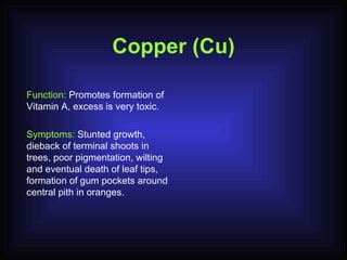 Copper (Cu) Function:  Promotes formation of Vitamin A, excess is very toxic. Symptoms:  Stunted growth, dieback of terminal shoots in trees, poor pigmentation, wilting and eventual death of leaf tips, formation of gum pockets around central pith in oranges. 