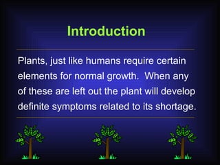Plants, just like humans require certain elements for normal growth.  When any of these are left out the plant will develop definite symptoms related to its shortage. Introduction 