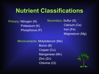 Nutrient Classifications Primary:  Nitrogen (N)   Potassium (K)   Phosphorus (P)          Micronutrients:  Molybdenum (Mo)   Boron (B)   Copper (Cu)   Manganese (Mn)   Zinc (Zn)   Chlorine (Cl) Secondary:  Sulfur (S)   Calcium (Ca)   Iron (Fe)   Magnesium (Mg) 