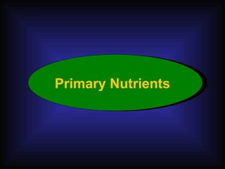 Primary Nutrients 