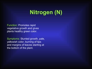 Nitrogen (N) Function:  Promotes rapid vegetative growth and gives plants healthy green color. Symptoms:  Stunted growth, pale, yellowish color, burning of tips and margins of leaves starting at the bottom of the plant. 