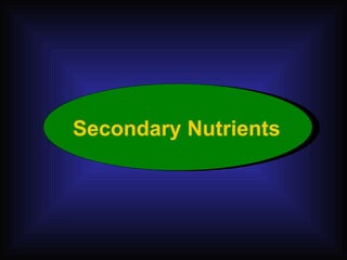 Secondary Nutrients 