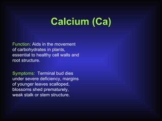 Calcium (Ca) Function:  Aids in the movement of carbohydrates in plants, essential to healthy cell walls and root structure. Symptoms:  Terminal bud dies under severe deficiency, margins of younger leaves scalloped, blossoms shed prematurely, weak stalk or stem structure. 