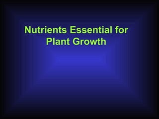 Nutrients Essential for Plant Growth 