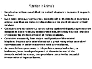 Nutrition in Animals
• Simple observation reveals that the animal kingdom is dependent on plants
  for food.
• Even meat-eating, or carnivorous, animals such as the lion feed on grazing
  animals and thus are indirectly dependent on the plant kingdom for their
  survival.
• Omnivores are miscellaneous species whose teeth and digestive systems seem
  designed to eat a relatively concentrated diet, since they have no large sac
  or chamber for the fermentation of fibrous material.
• Carnivores necessarily form only a small portion of the animal
  kingdom, because each animal must eat a great many other animals of
  equivalent size in order to maintain itself over a lifetime.
• As an evolutionary response to this problem, many leaf eaters, or
  herbivores, have developed a pouch at the anterior end of the
  stomach, called the rumen, that provides a space for the bacterial
  fermentation of ingested leaves.
 