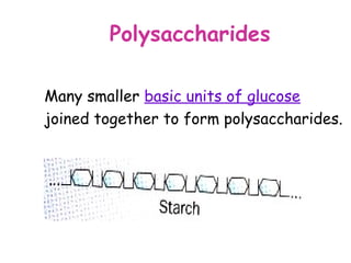 Polysaccharides

Many smaller basic units of glucose
joined together to form polysaccharides.
 