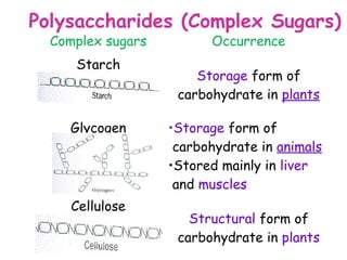 Polysaccharides (Complex Sugars)
  Complex sugars         Occurrence
     Starch
                       Storage form of
                    carbohydrate in plants

    Glycogen       •Storage form of
                    carbohydrate in animals
                   •Stored mainly in liver
                    and muscles
     Cellulose
                      Structural form of
                    carbohydrate in plants
 