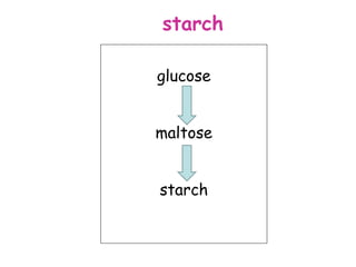 starch

glucose


maltose


starch
 