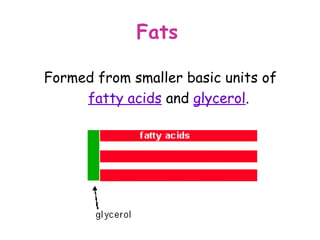 Fats

Formed from smaller basic units of
     fatty acids and glycerol.
 