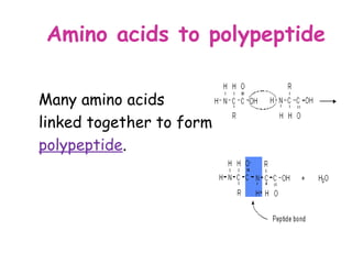 Amino acids to polypeptide

Many amino acids
linked together to form
polypeptide.
 