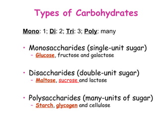 Types of Carbohydrates
Mono: 1; Di: 2; Tri: 3; Poly: many

• Monosaccharides (single-unit sugar)
  – Glucose, fructose and galactose


• Disaccharides (double-unit sugar)
  – Maltose, sucrose and lactose


• Polysaccharides (many-units of sugar)
  – Starch, glycogen and cellulose
 