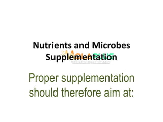 Nutrients and Microbes
Supplementation
Proper supplementation
should therefore aim at:
 