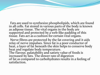Fats are used to synthesize phospholipids, which are found
in all cells. Fat stored in various parts of the body is known
as adipose tissue. The vital organs in the body are
supported and protected by a web-like padding of this
tissue. Fats act as a cushion for certain vital organs.
Nerve fibres are protected by the fat covering and it aids
relay of nerve impulses. Since fat is a poor conductor of
heat, a layer of fat beneath the skin helps to conserve body
heat and regulate body temperature.
The flavour, palatability and satiety value of foods is
increased by fats. The slower rate of digestion
of fat as compared to carbohydrates results in a feeling of
satisfaction.
 
