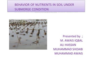 BEHAVIOR OF NUTRIENTS IN SOIL UNDER
SUBMERGE CONDITION
Presented by ;
M. AWAIS IQBAL
ALI HASSAN
MUHAMMAD SHOAIB
MUHAMMAD AWAIS
 