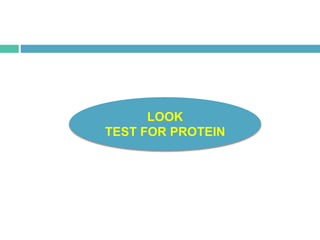 LOOK
TEST FOR PROTEIN
 