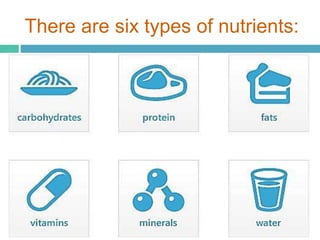 There are six types of nutrients:
 