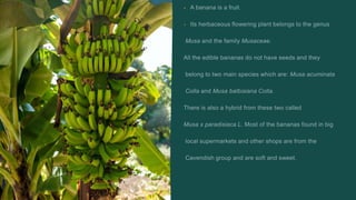 Picture of Nutrients In Bananas | PPTX