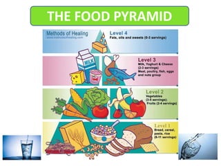 THE FOOD PYRAMID
 