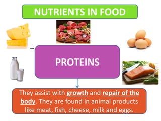 NUTRIENTS IN FOOD
PROTEINS
They assist with growth and repair of the
body. They are found in animal products
like meat, fish, cheese, milk and eggs.
 