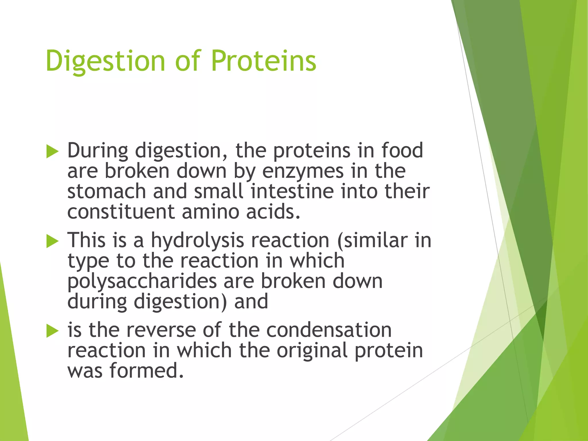 Digestion of Proteins
 During digestion, the proteins in food
are broken down by enzymes in the
stomach and small intestine into their
constituent amino acids.
 This is a hydrolysis reaction (similar in
type to the reaction in which
polysaccharides are broken down
during digestion) and
 is the reverse of the condensation
reaction in which the original protein
was formed.
 