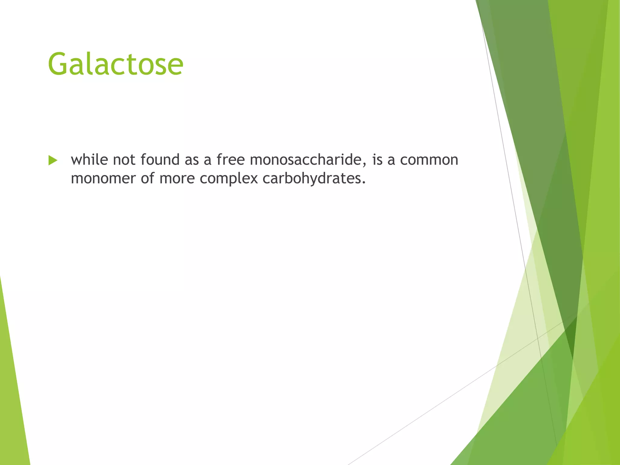 Galactose
 while not found as a free monosaccharide, is a common
monomer of more complex carbohydrates.
 