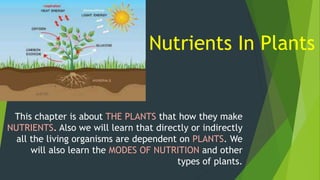 Nutrients In Plants
This chapter is about THE PLANTS that how they make
NUTRIENTS. Also we will learn that directly or indirectly
all the living organisms are dependent on PLANTS. We
will also learn the MODES OF NUTRITION and other
types of plants.
 