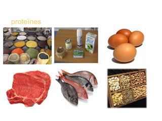 proteïnes 
