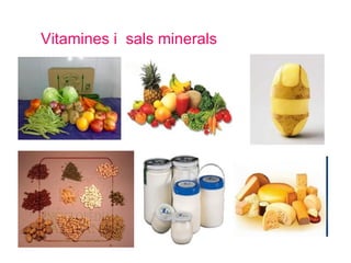 Vitamines i  sals minerals 