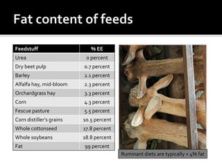 Feedstuff                    % EE
Urea                       0 percent
Dry beet pulp             0.7 percent
Barley                    2.1 percent
Alfalfa hay, mid-bloom    2.3 percent
Orchardgrass hay          3.3 percent
Corn                      4.3 percent
Fescue pasture            5.5 percent
Corn distiller’s grains   10.5 percent
Whole cottonseed          17.8 percent
Whole soybeans            18.8 percent
Fat                       99 percent
                                         Ruminant diets are typically < 4% fat
 