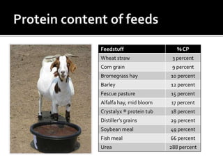 Feedstuff                    % CP
Wheat straw                3 percent
Corn grain                 9 percent
Bromegrass hay            10 percent
Barley                    12 percent
Fescue pasture            15 percent
Alfalfa hay, mid bloom    17 percent
Crystalyx ® protein tub   18 percent
Distiller’s grains        29 percent
Soybean meal              49 percent
Fish meal                 66 percent
Urea                      288 percent
 