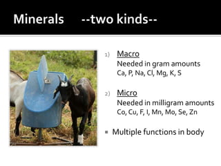 1)    Macro
      Needed in gram amounts
      Ca, P, Na, Cl, Mg, K, S

2)    Micro
      Needed in milligram amounts
      Co, Cu, F, I, Mn, Mo, Se, Zn

    Multiple functions in body
 