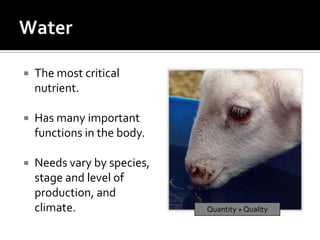    The most critical
    nutrient.

   Has many important
    functions in the body.

   Needs vary by species,
    stage and level of
    production, and
    climate.                 Quantity + Quality
 