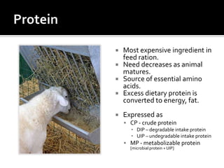  Most expensive ingredient in
  feed ration.
 Need decreases as animal
  matures.
 Source of essential amino
  acids.
...