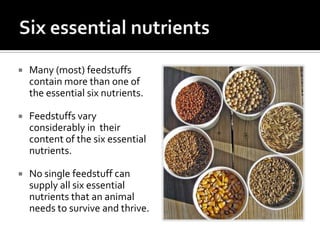    Many (most) feedstuffs
    contain more than one of
    the essential six nutrients.

   Feedstuffs vary
    consider...
