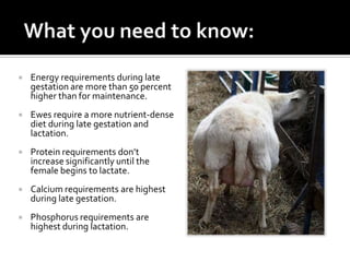    Energy requirements during late
    gestation are more than 50 percent
    higher than for maintenance.
   Ewes requi...