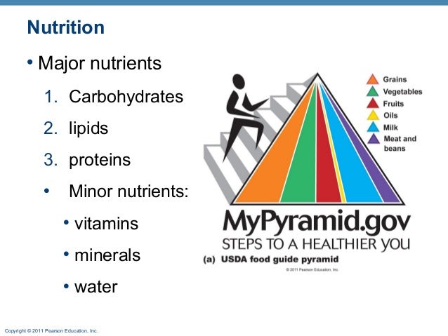 download full throttle nutrition download full throttle nutrition