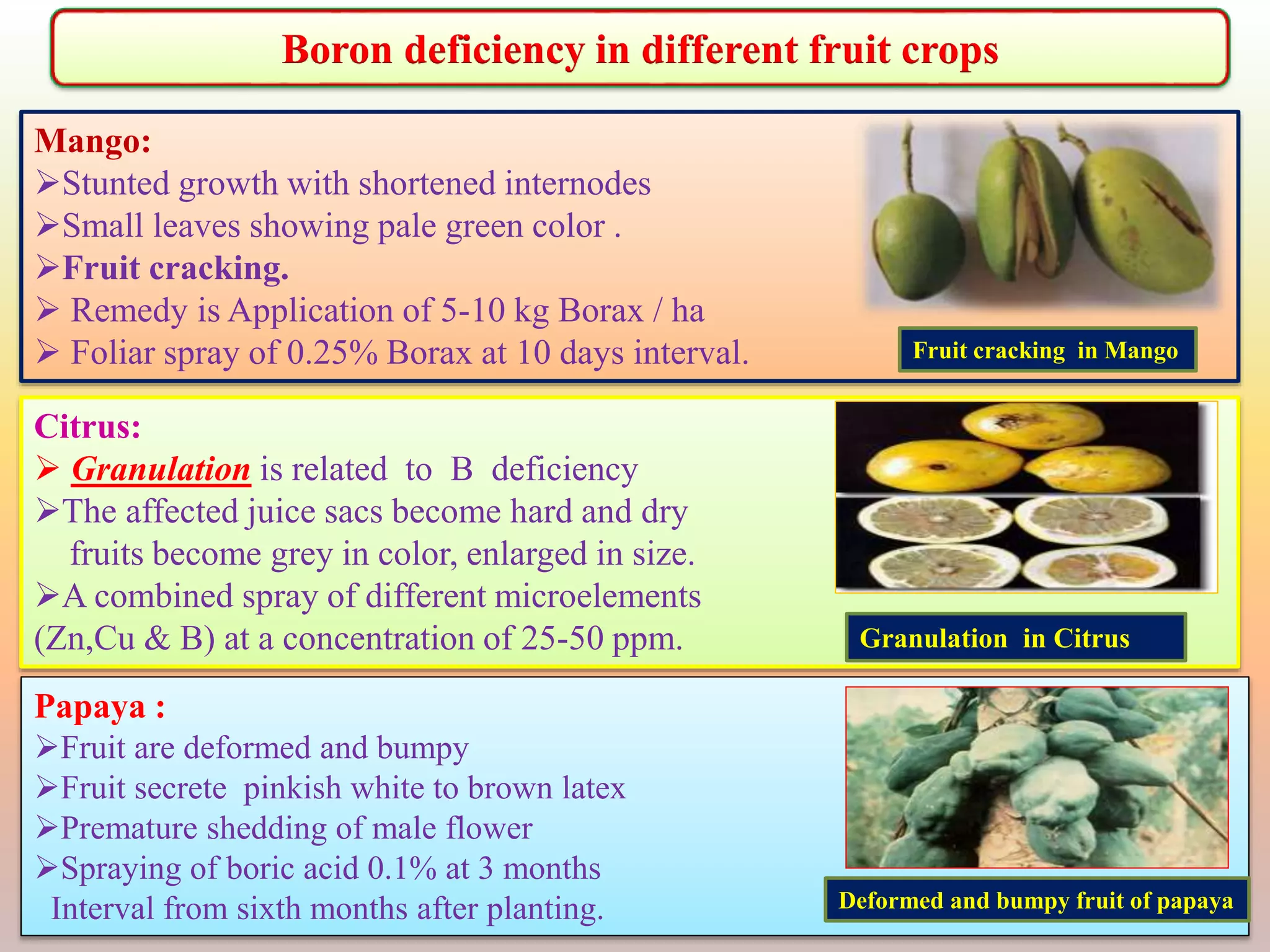Nutrient sources vs. quality of fruits in tropical fruit crops | PPTX
