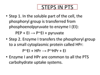 Hpr Small NUTRIENT TRANSPORT IN BACTERIA.pptx.pdf1