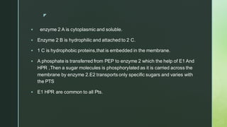 z
▪ enzyme 2 A is cytoplasmic and soluble.
▪ Enzyme 2 B is hydrophilic and attached to 2 C.
▪ 1 C is hydrophobic proteins,that is embedded in the membrane.
▪ A phosphate is transferred from PEP to enzyme 2 which the help of E1 And
HPR ,Then a sugar molecules is phosphorylated as it is carried across the
membrane by enzyme 2.E2 transports only specific sugars and varies with
the PTS
▪ E1 HPR are common to all Pts.
 