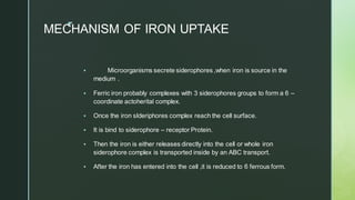 z
MECHANISM OF IRON UPTAKE
▪ Microorganisms secrete siderophores ,when iron is source in the
medium .
▪ Ferric iron probably complexes with 3 siderophores groups to form a 6 –
coordinate actoherital complex.
▪ Once the iron sIderiphores complex reach the cell surface.
▪ It is bind to siderophore – receptor Protein.
▪ Then the iron is either releases directly into the cell or whole iron
siderophore complex is transported inside by an ABC transport.
▪ After the iron has entered into the cell ,it is reduced to 6 ferrous form.
 