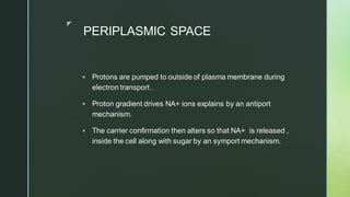 z
PERIPLASMIC SPACE
▪ Protons are pumped to outside of plasma membrane during
electron transport .
▪ Proton gradient drives NA+ ions explains by an antiport
mechanism.
▪ The carrier confirmation then alters so that NA+ is released ,
inside the cell along with sugar by an symport mechanism.
 