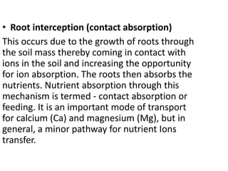 Nutrient Uptake- by plant WPS Office-1.pptx