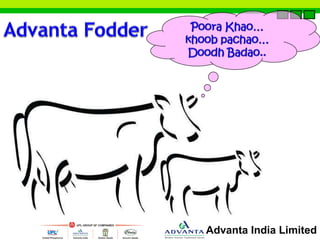 Advanta India Limited 