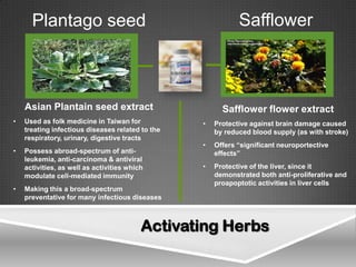 Plantago seed                                          Safflower



    Asian Plantain seed extract                         Safflower flower extract
•   Used as folk medicine in Taiwan for           •   Protective against brain damage caused
    treating infectious diseases related to the       by reduced blood supply (as with stroke)
    respiratory, urinary, digestive tracts
                                                  •   Offers “significant neuroportective
•   Possess abroad-spectrum of anti-                  effects”
    leukemia, anti-carcinoma & antiviral
    activities, as well as activities which       •   Protective of the liver, since it
    modulate cell-mediated immunity                   demonstrated both anti-proliferative and
                                                      proapoptotic activities in liver cells
•   Making this a broad-spectrum
    preventative for many infectious diseases



                                          Activating Herbs
 